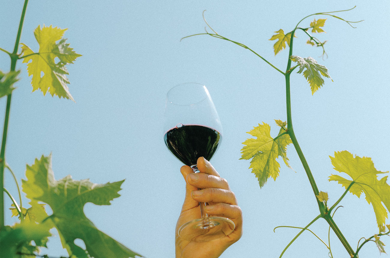 A winemaker holding a glass of wine next to a vine