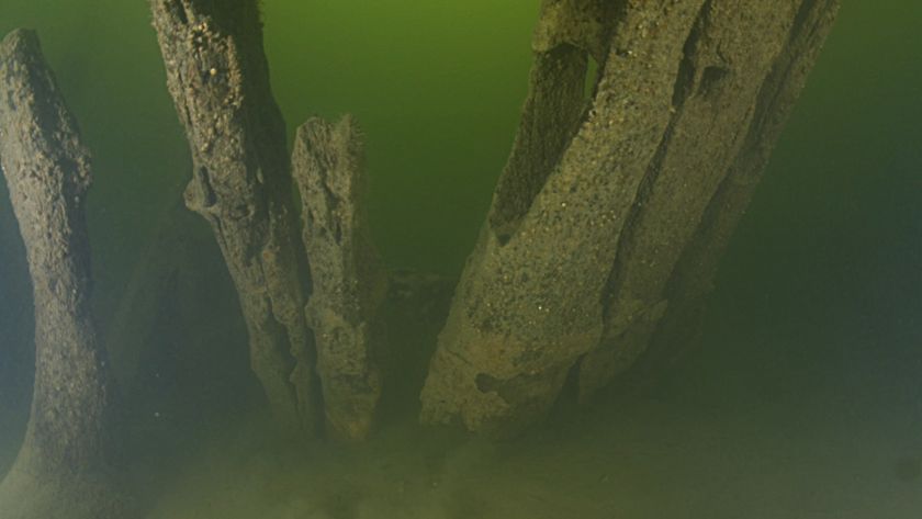 An underwater view of a shipwreck in murky green water