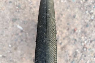 Specialized Mondo Tyre