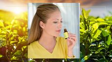 tea tree oil main collage of woman sniffing essential oil against tea tree leaves in background