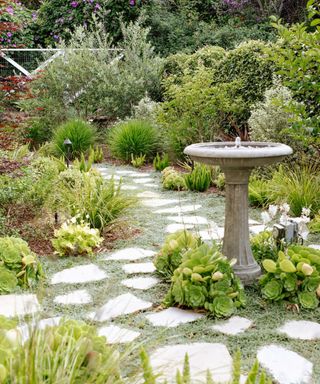 A stone cobbled pathway with a water feature and succulent planting