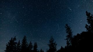 Orionid meteors streak across the star-studded sky with silhouettes of trees in the foreground of the image. 
