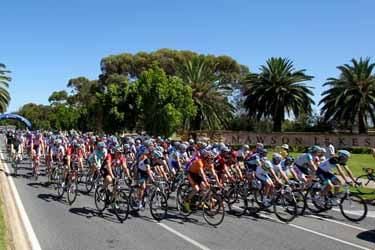 The peloton makes its way out of Mawson Lakes.