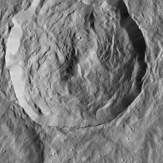 Steep slopes known as scarps are visible within this 20-mile-wide (32 kilometers) crater on Ceres in this image captured by NASA's Dawn spacecraft on Dec. 19, 2015.