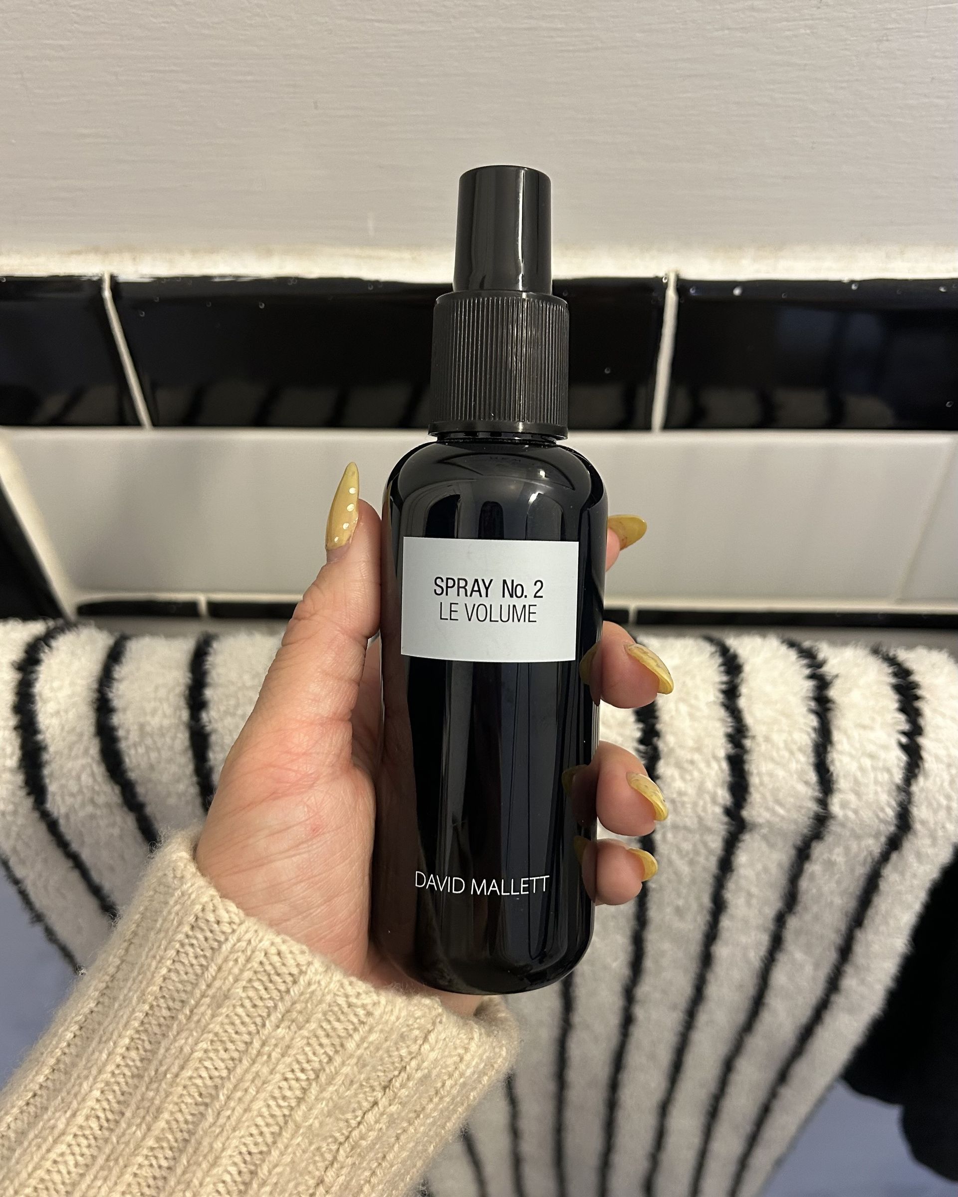 An image of the David Mallett No.2 Le Volume Spray by Alyssa Brascia.