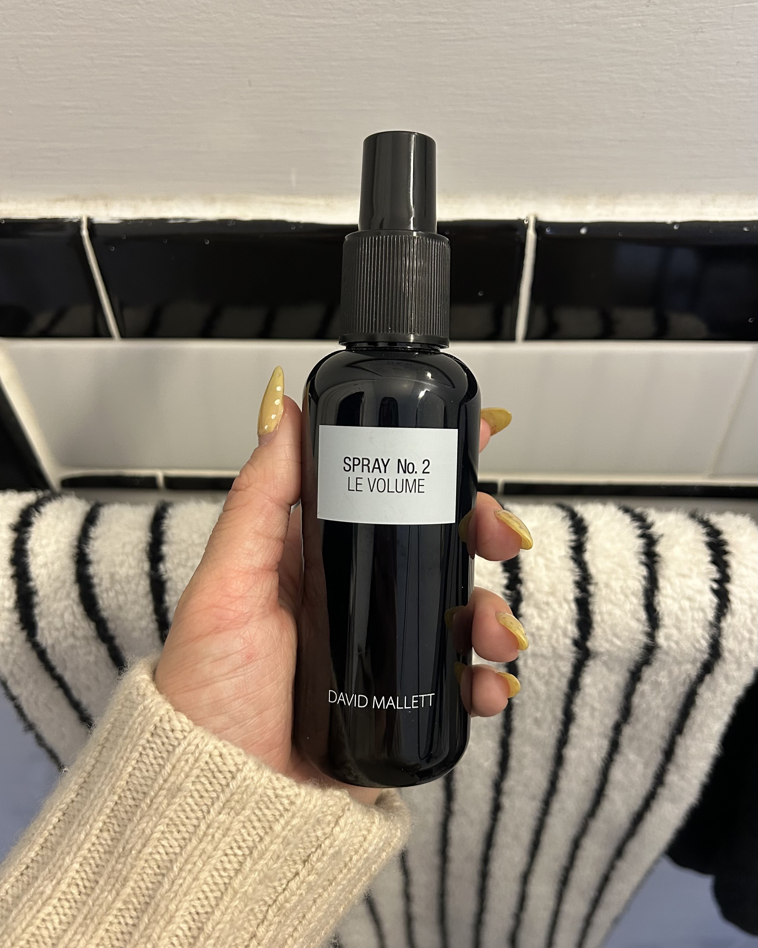 An image of the David Mallett No.2 Le Volume Spray by Alyssa Brascia.