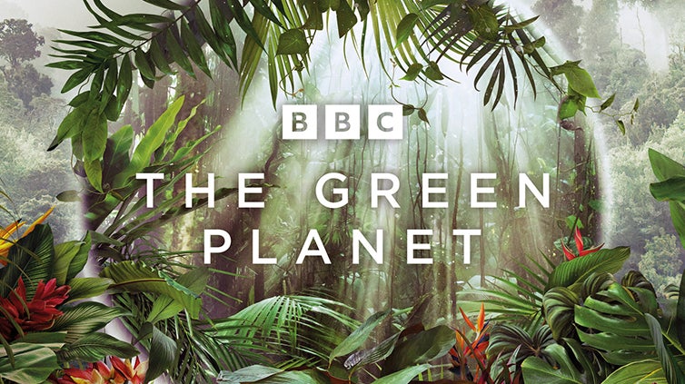 The Green Planet live stream: how to watch the new BBC David nature series from anywhere | What