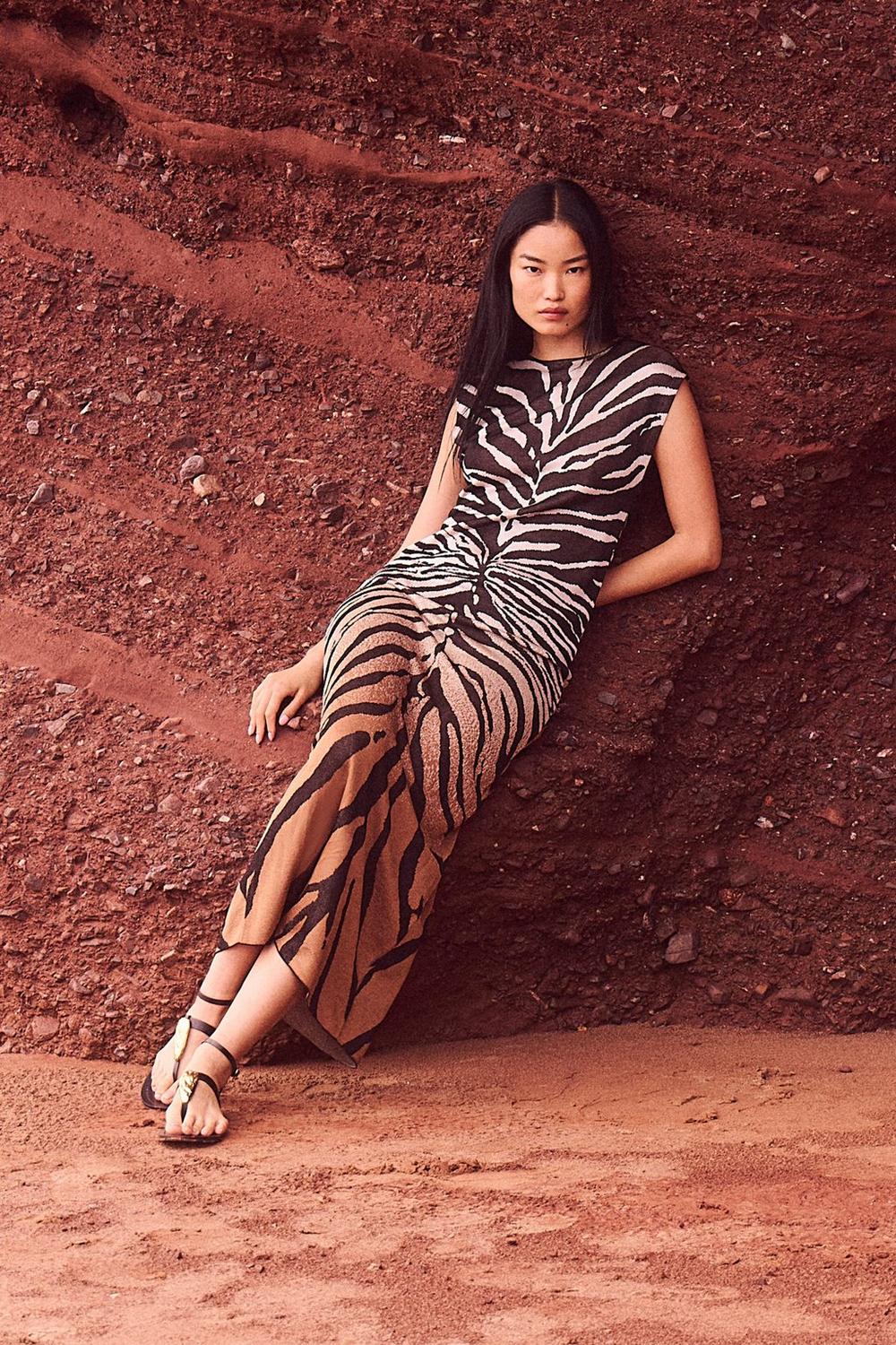 Jacquard Zebra Print Slinky Maxi Dress
