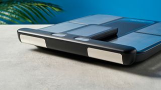 a body fat smart scale by renpho with a pull out handle to measure limb fat percentage and silver electrodes and a blue and black casing rests on a surface in front of a blue background