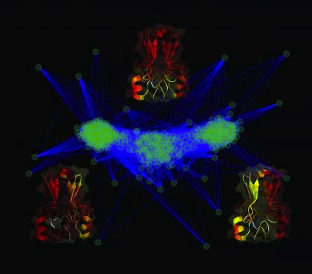 MitoNEET Cluster Study