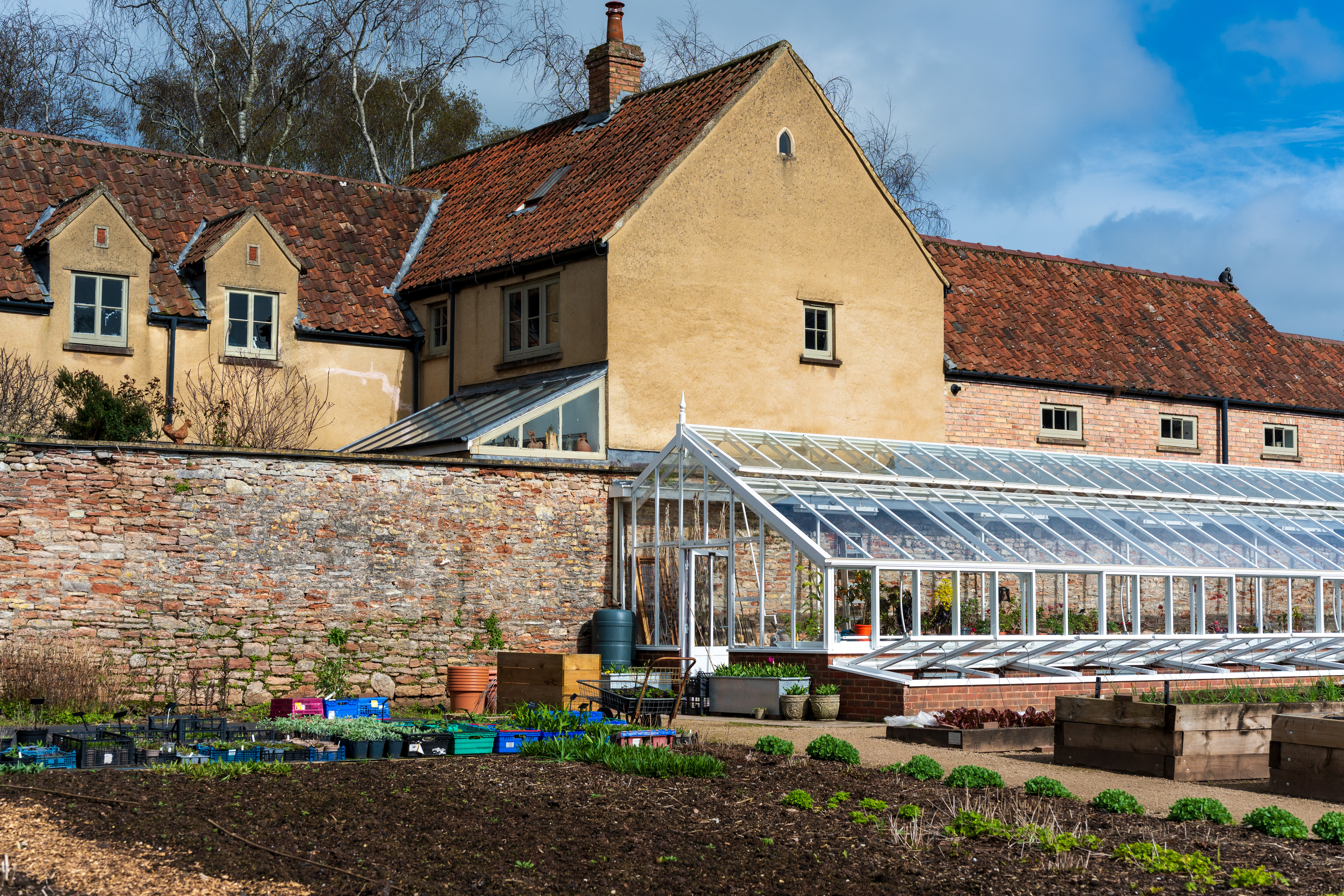 Viltrox AF 55mm f/1.8 Evo sample image