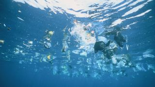 Plastic pollution floating just beneath the water's surface.