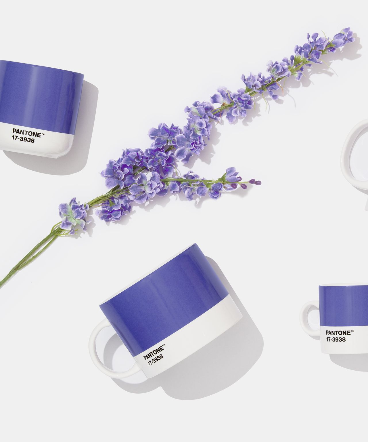 Pantone Color of the Year 2022, Very Berry