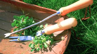 picture of weeding tools and removed weeds