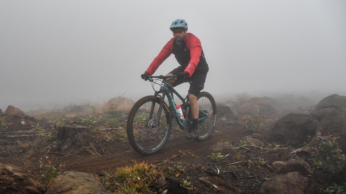 Lockdown means staying on the loam and way from rock gardens 