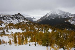 Rocky Mountains Snow