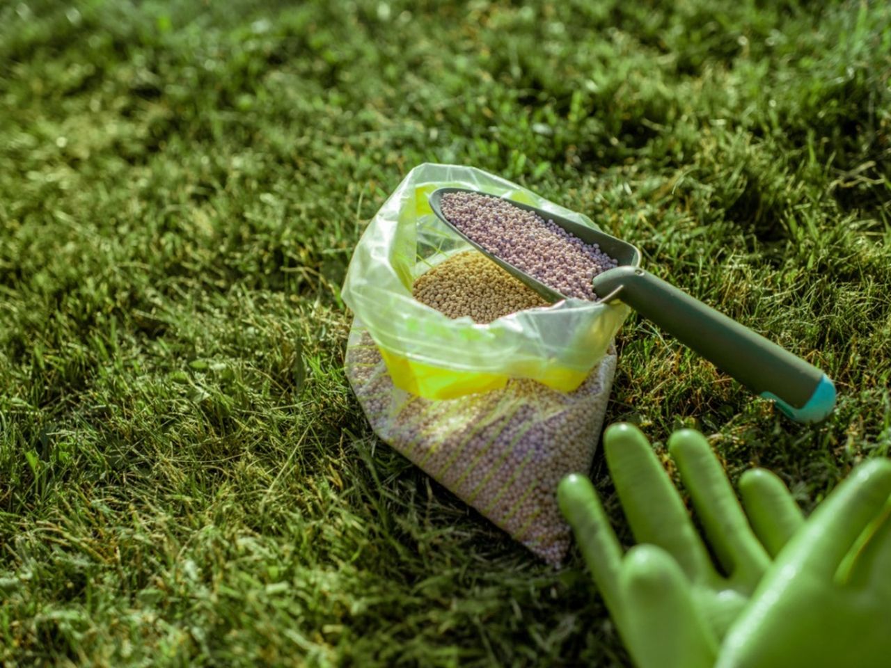 A Bag Of Balanced Fertilizer On The Lawn