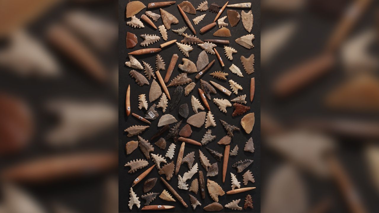 Toalean stone arrowheads