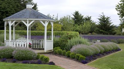 gazebo surrounded by lavender