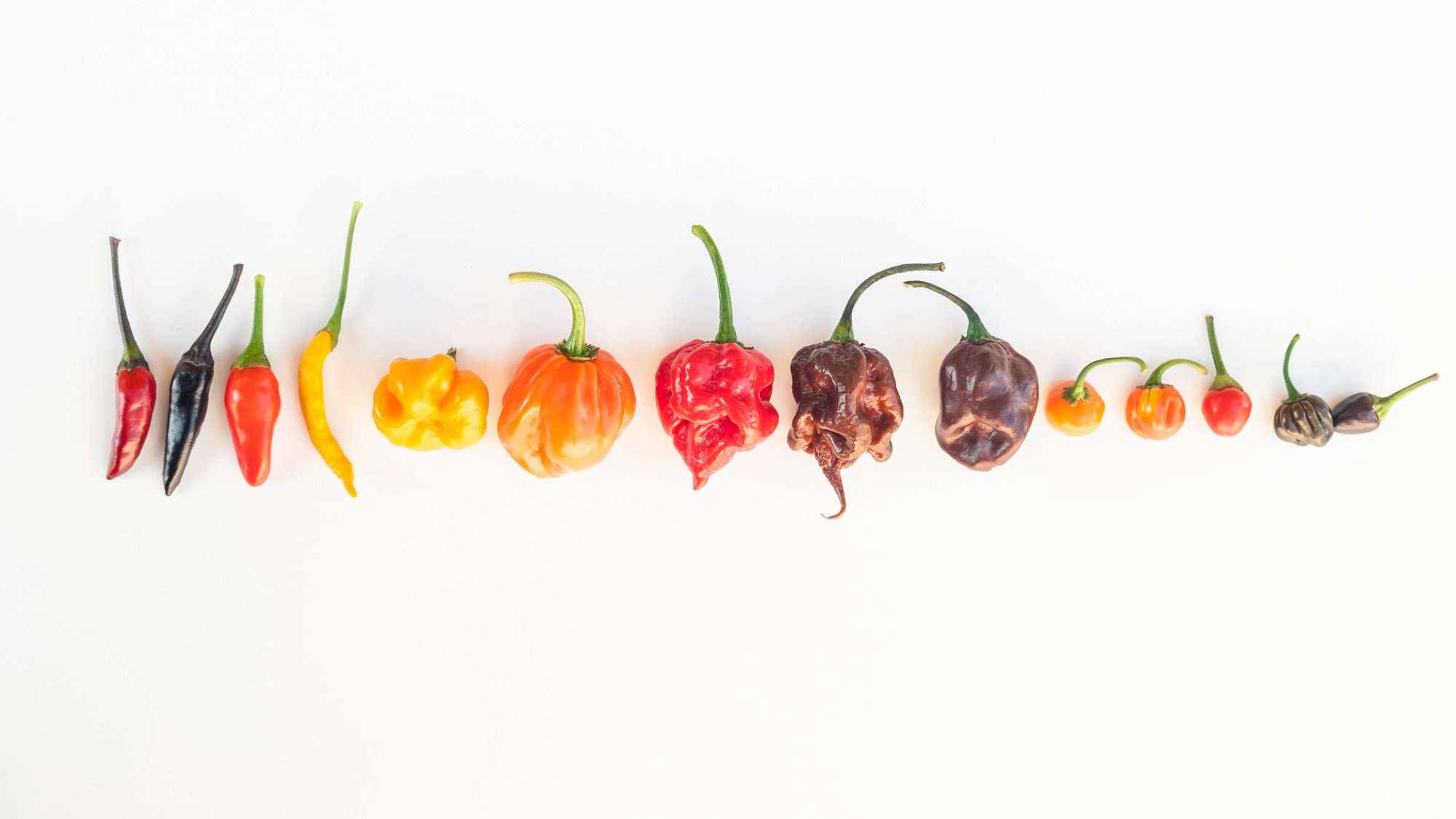  Complex heat: why 'nuanced' spice is the next big thing for food 