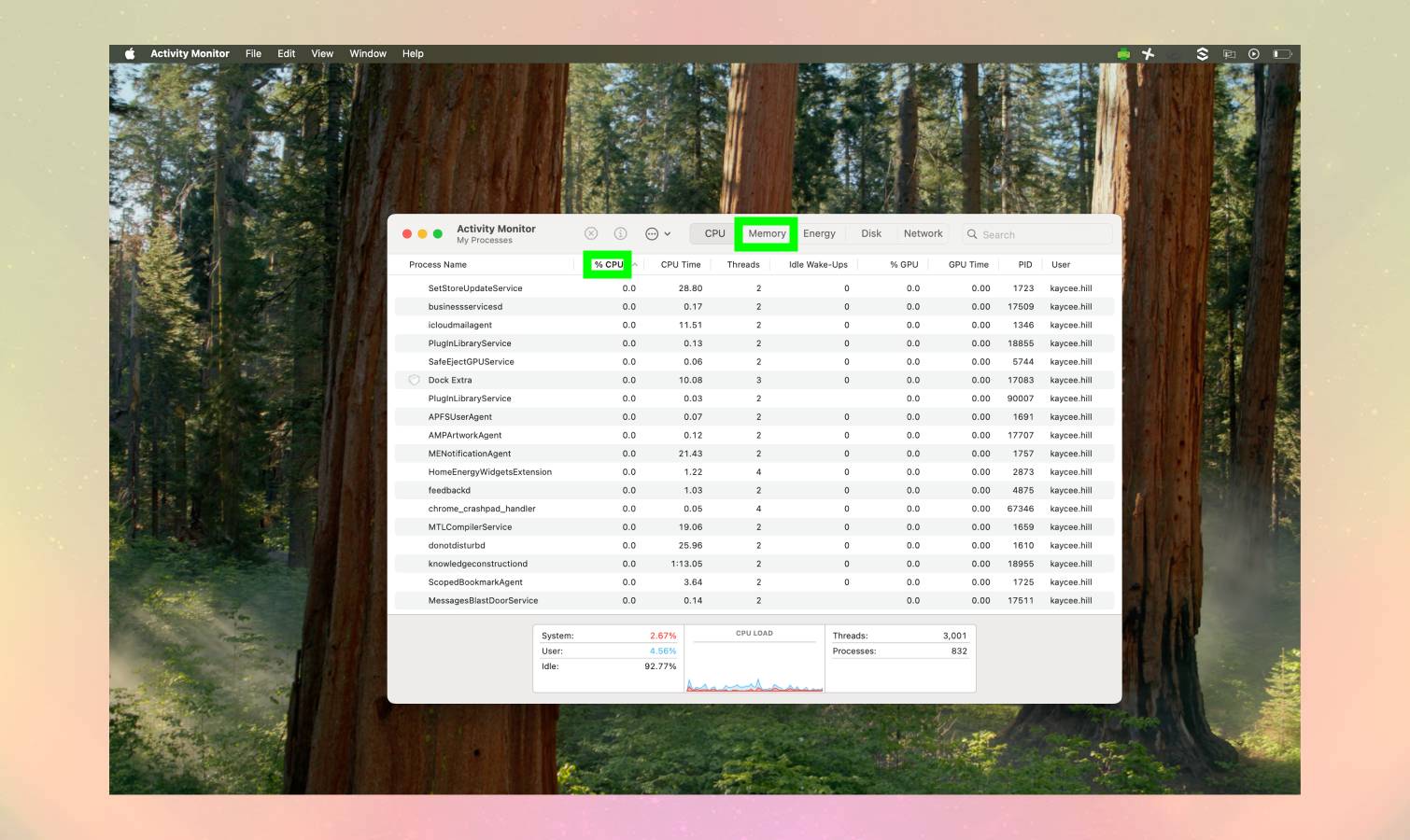 Mac Activity Monitor