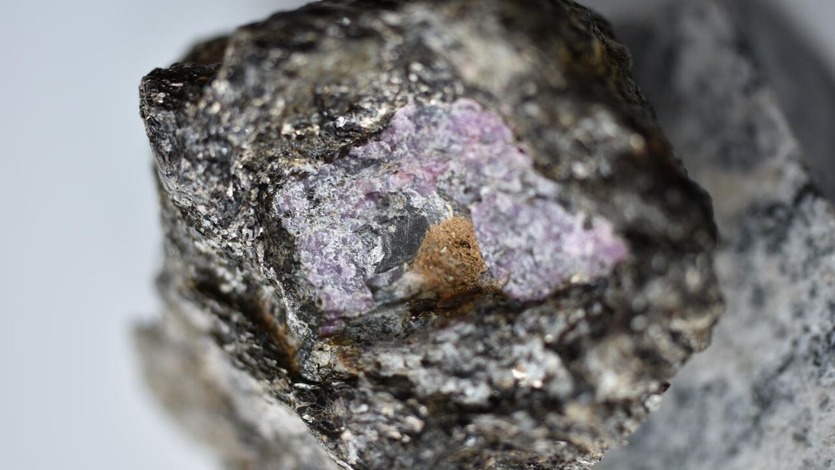 2.5 billion-year-old traces of life locked inside primeval ruby