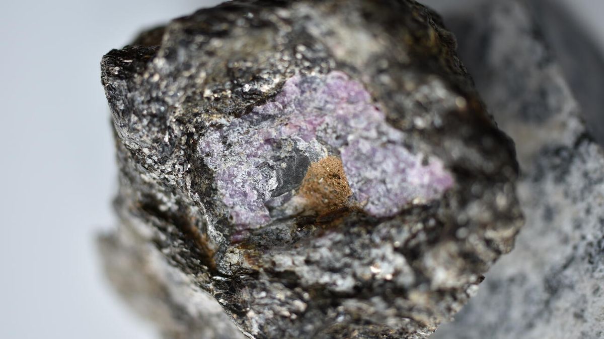 2.5 billion-year-old traces of life locked inside primeval ruby - Livescience.com