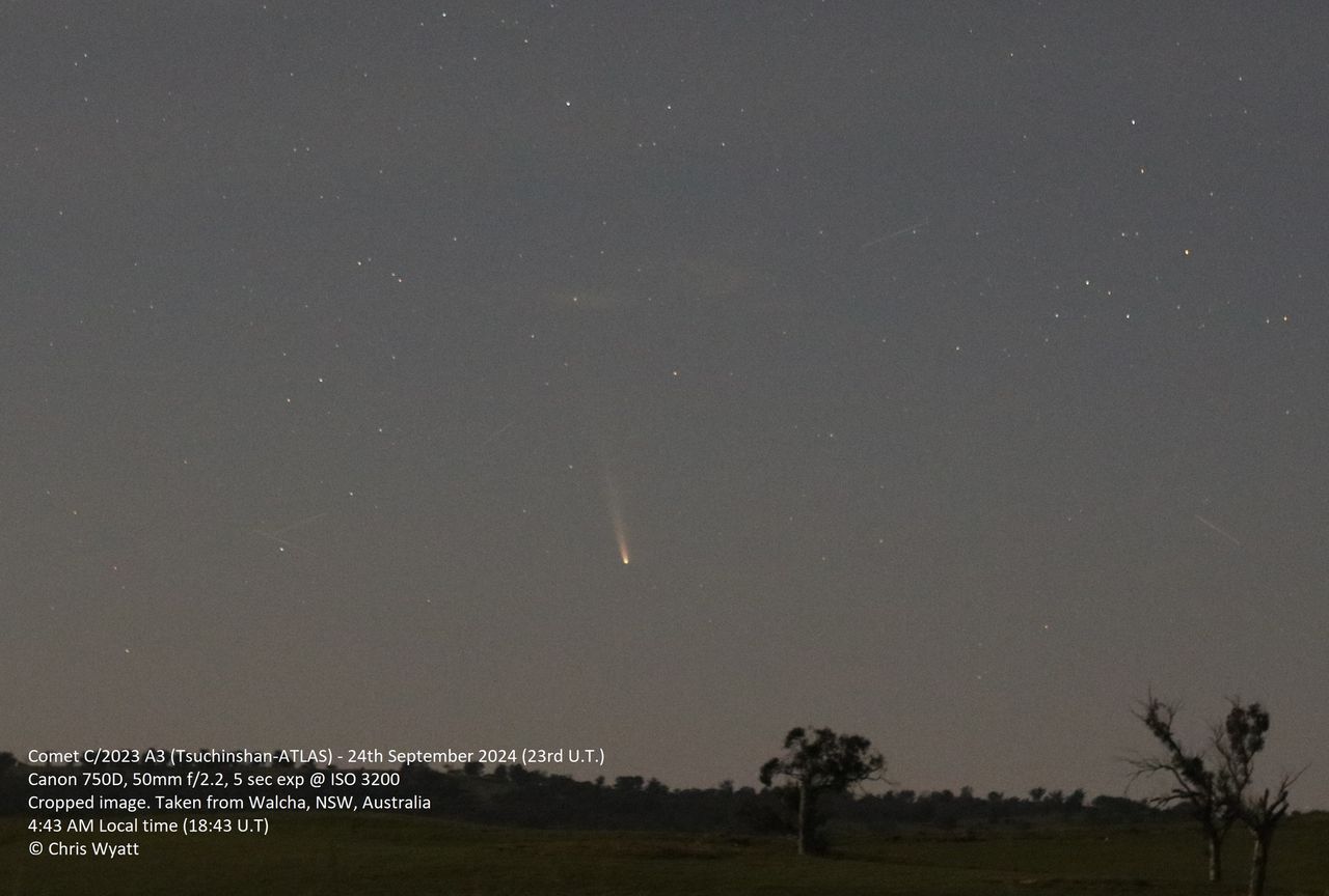 Chris Wyatt provided Space.com with a cropped image, taken on September 23rd at 18:29 U.T. from Walcha, New South Wales, Australia. He notes: "Moonlight and twilight caused some interference. The head of the comet appeared as a white coloured star-like object encircled within a small hazy outer coma. Difficult due to thin haze/cloud layers in the twilight. I was able to make it out easy enough with averted vision."