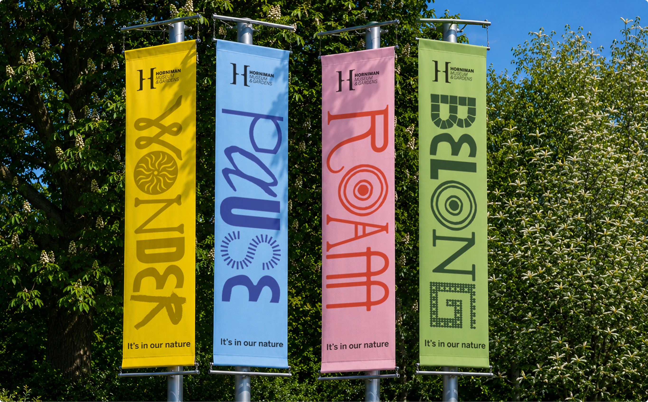 Anatomy's new campaign for The Horniman Museum