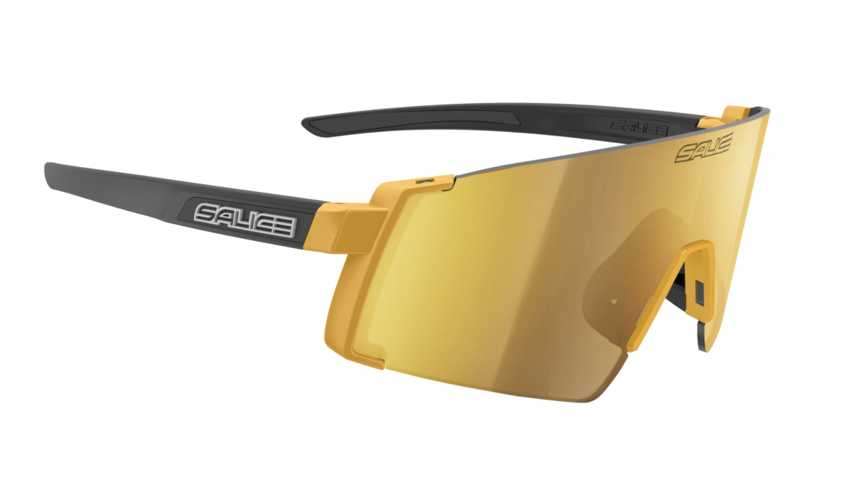 Salice's 027 glasses in black and gold colourway