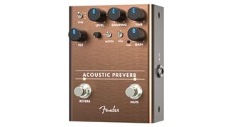 Fender Acoustic Preverb and Trapper Bass Distortion