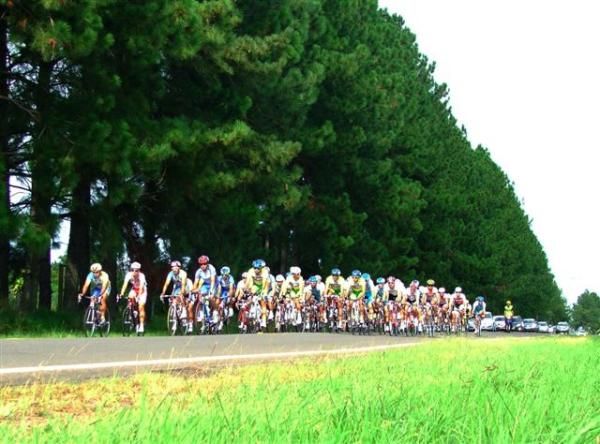 The peloton makes its way past a forest on stage one