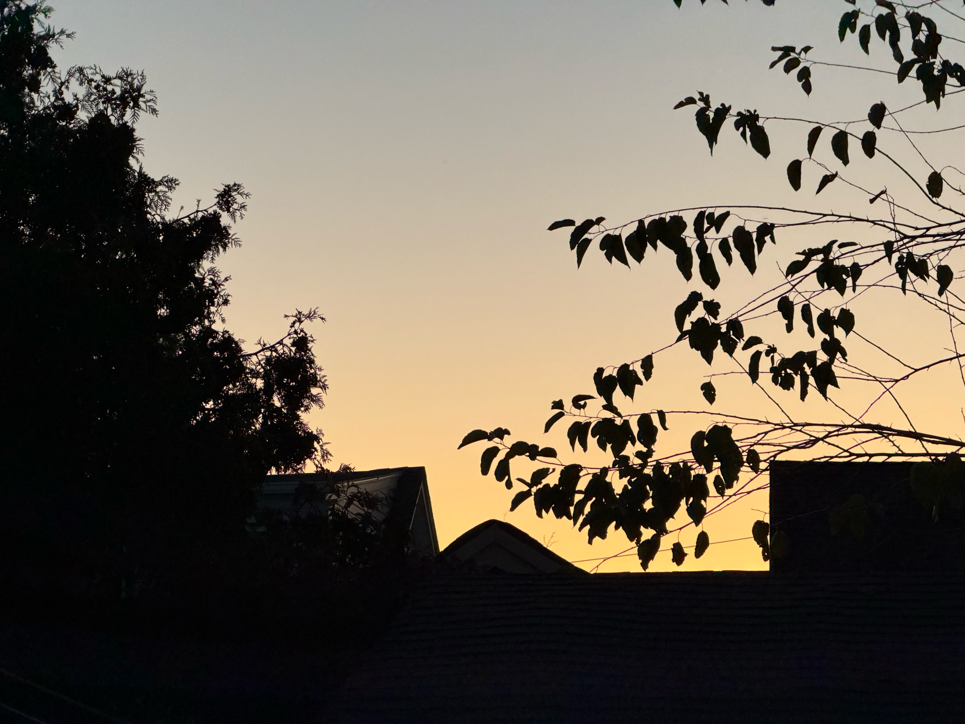 Apple iPhone 17 Pro REVIEW photo samples