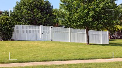 Backyard with lawn surrounded by white picket fence to support a guide for how to get rid of moss in a lawn