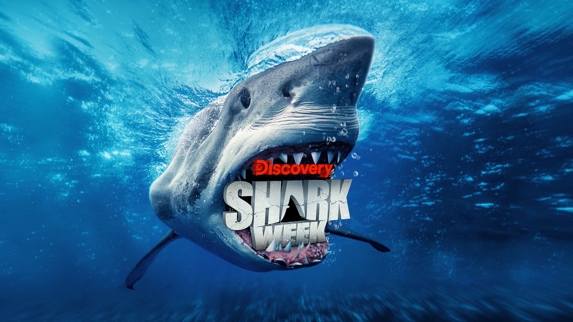 How to watch Shark Week 2022 online right now Full schedule, channels