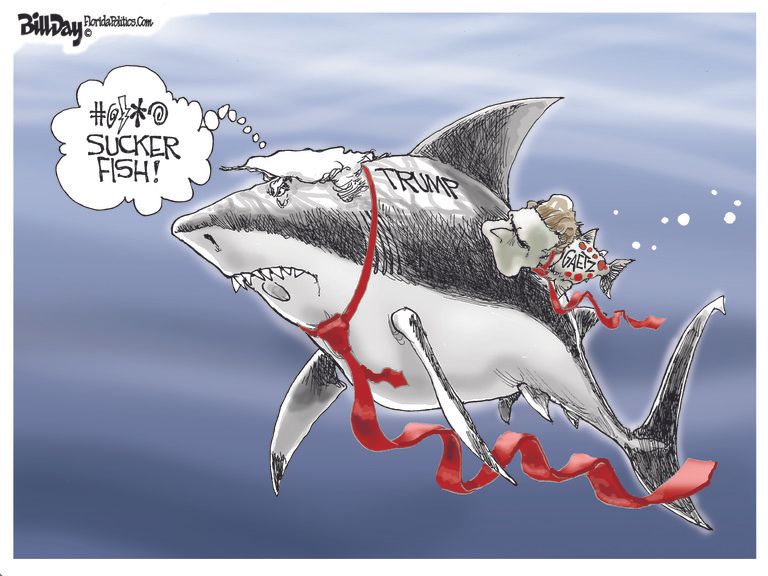 Political Cartoon U.s. Trump Gaetz 