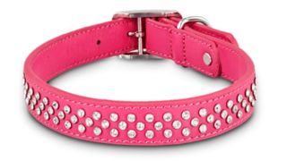 Rhinestone studded pink dog collar