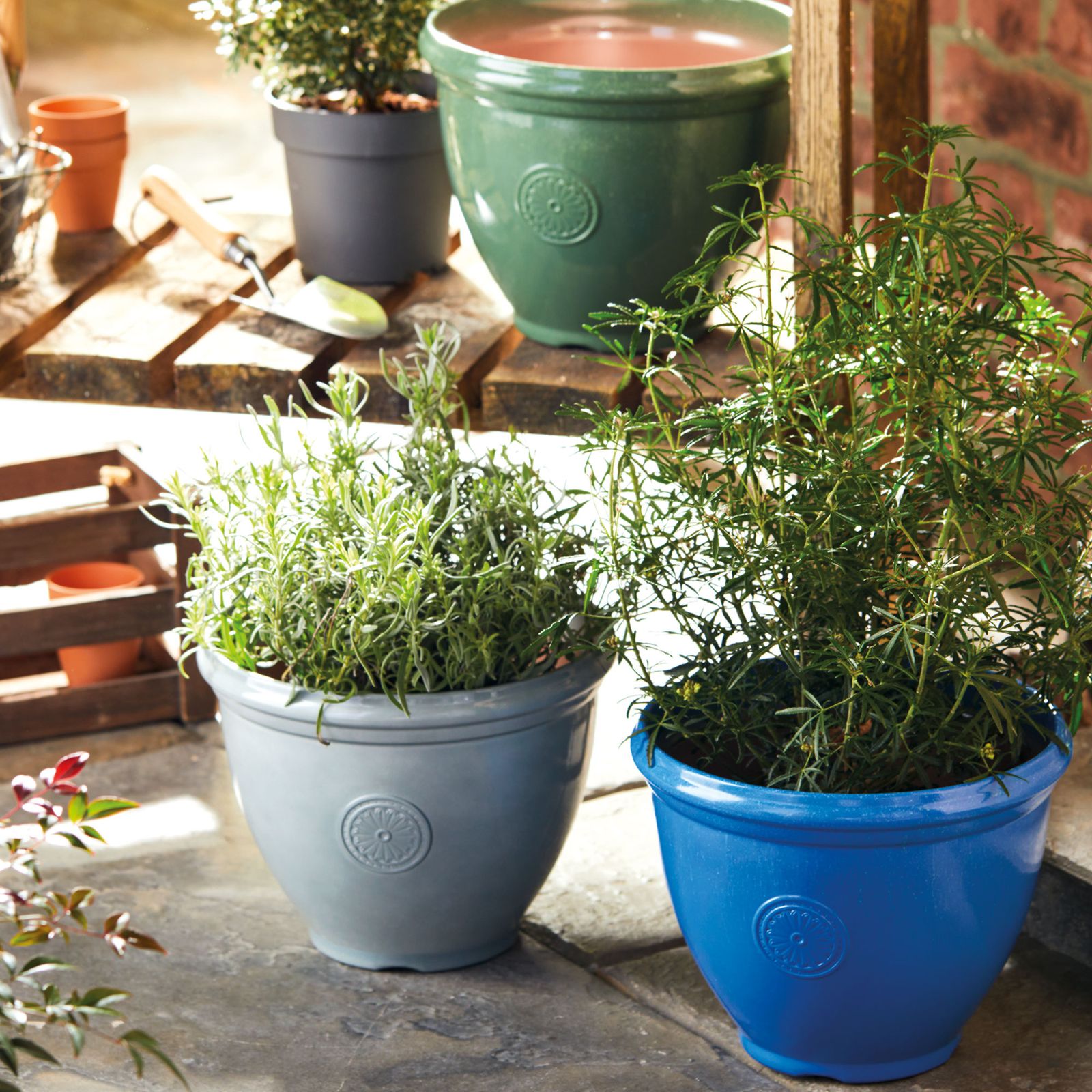 Aldi is selling these smart outdoor plant pots to rival those of the