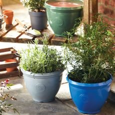 Outdoor plant pots arranged in garden