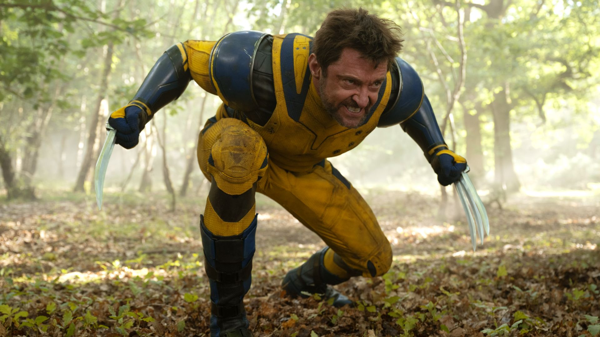 Deadpool and Wolverine director Shawn Levy would often call for "fresh lube on Hugh" on set, but it's not as weird as it sounds