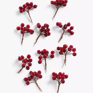 Small red berry bunches