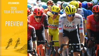 Tour de France stage 8 preview