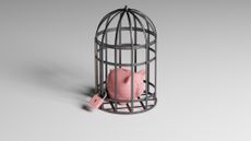 Piggy bank locked in a cage