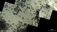 A satellite photo shows lots of small, black spider-like features on Mars.