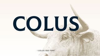 Best free fonts: Sample of Colus
