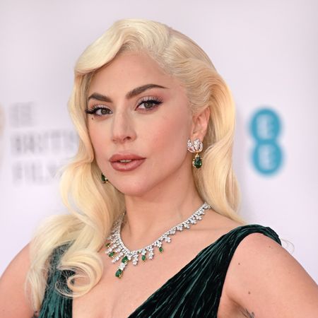 lady gaga with long hair 