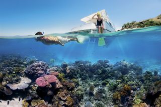 Australians love their Great Barrier Reef.