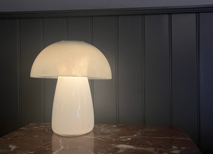 A mushroom lamp lit up on a dark table