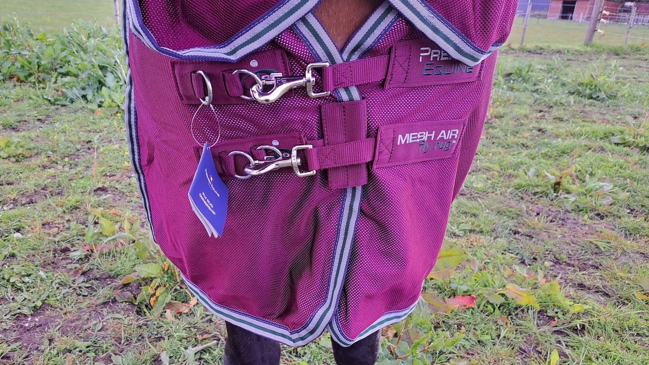 Premier Equine fly rug chest fastening