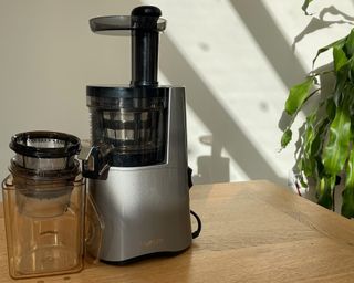 Assembled Hurom H-AA slow juicer on wooden dining table with large houseplant in background, sun is setting and creating shadows on white wall